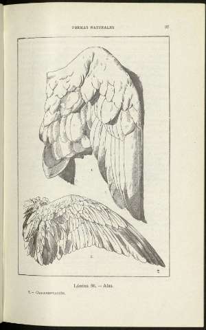 97
