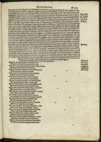 xvii r