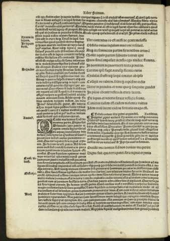 xviii v