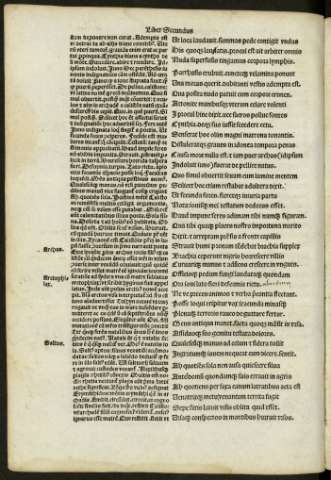 xxxvi v