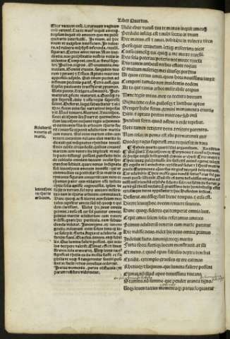 lvi v