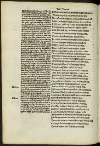 cxv v