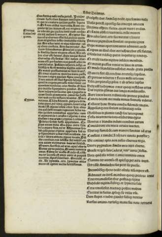cxxviii v