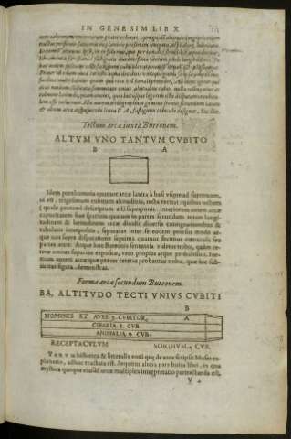 155