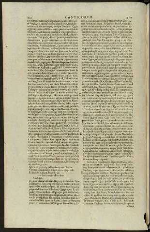 919-920