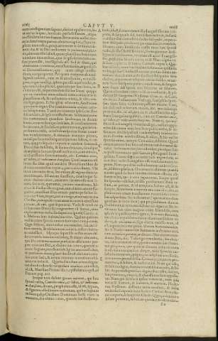 1065-1066