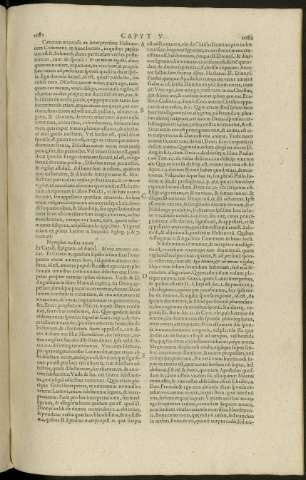 1081-1082