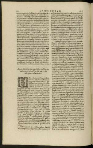 1155-1156