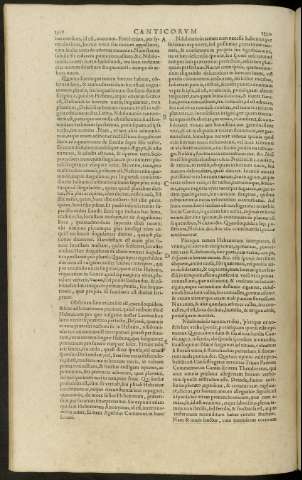 1319-1320