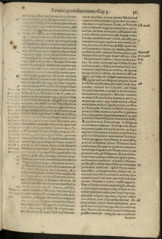 31
