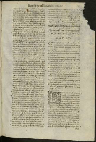81