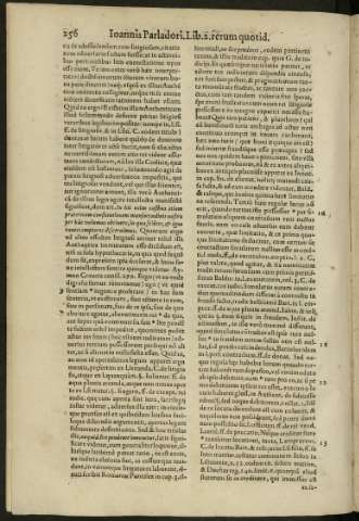 256