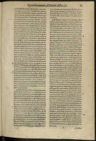 81
