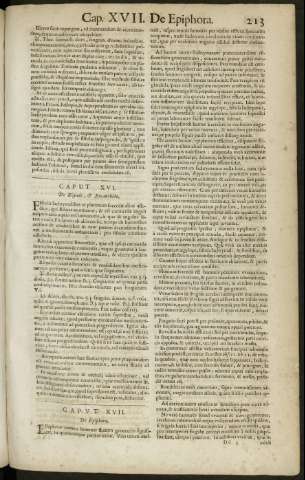 213