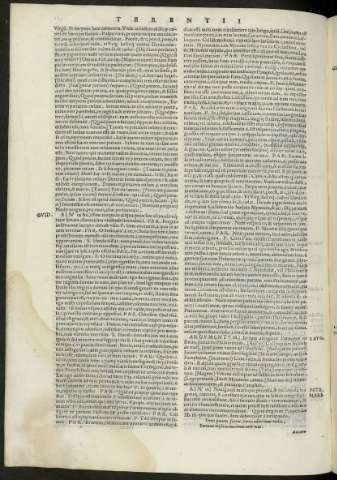 161 v