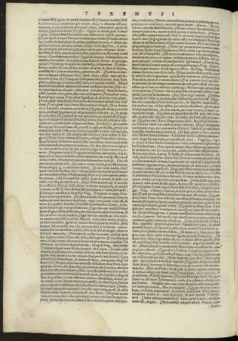 162 v