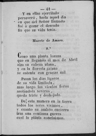 41