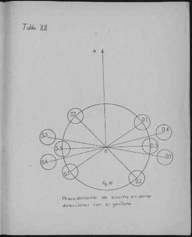 Tabla XII