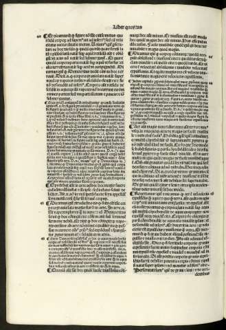 261 v