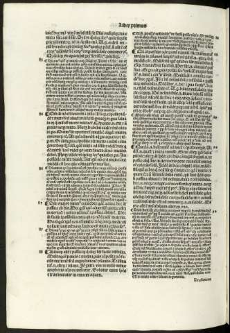 271 v