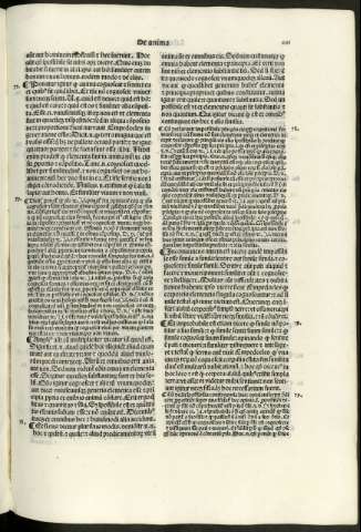 291 r