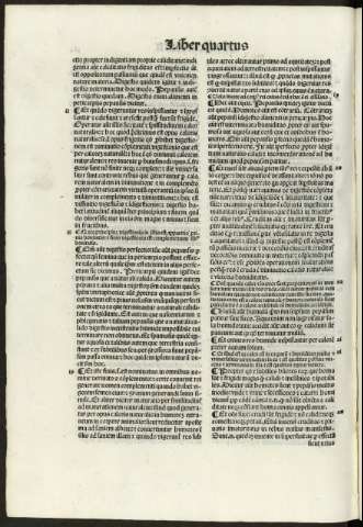 384 v