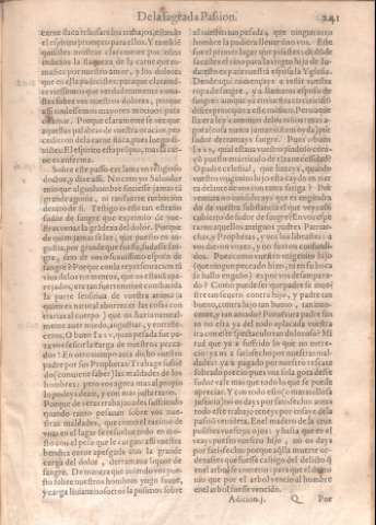 241
