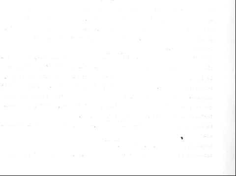 365v