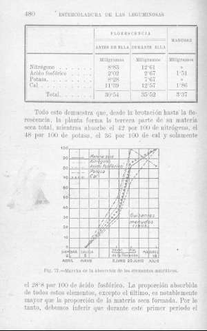 480