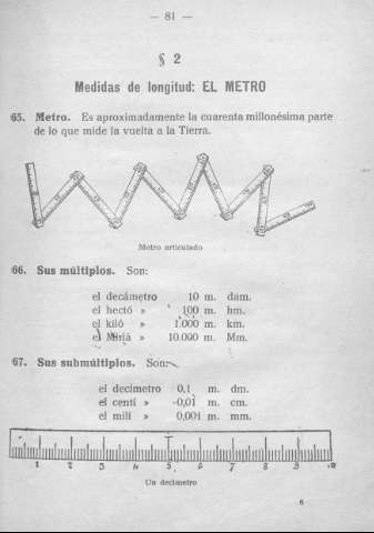 81