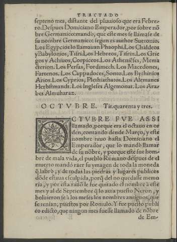41v