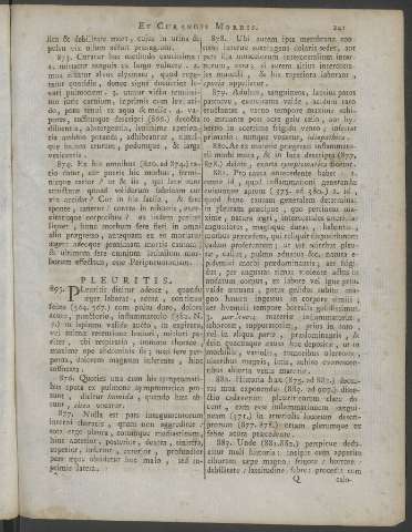 241