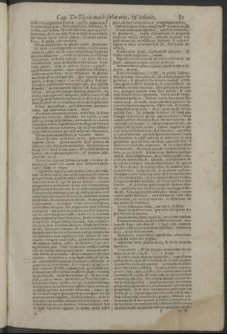 81