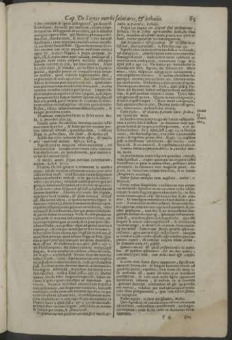 85
