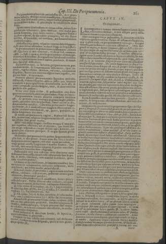 261