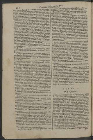 262