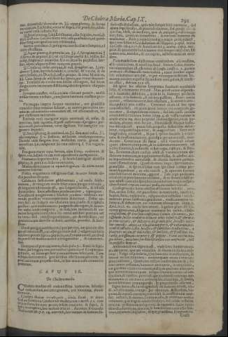 291