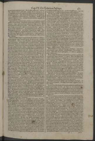 381