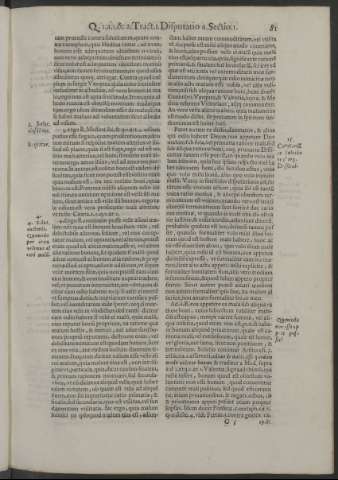 81