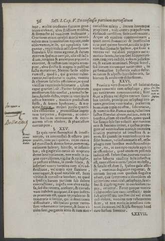 56