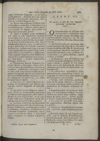 261
