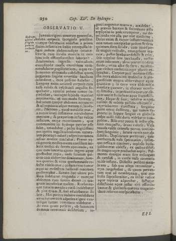 250