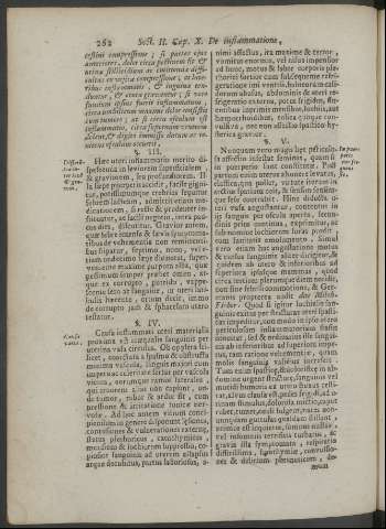 262