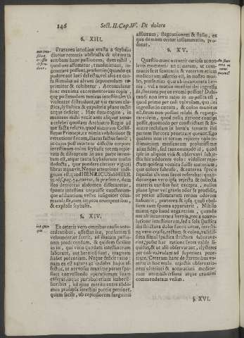 146