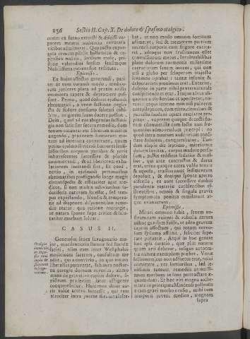256