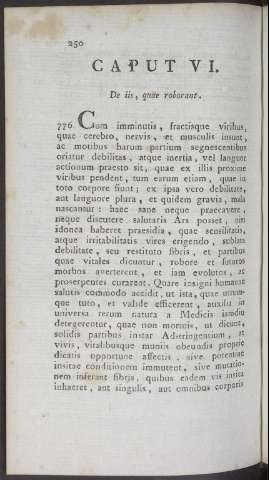 250