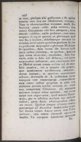 256