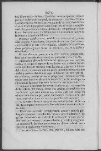 XXVIII