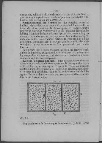 82