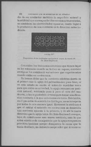 262